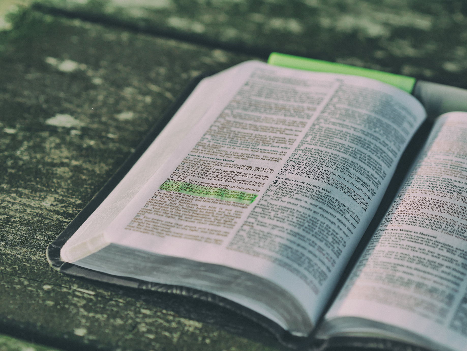 Open Bible with Highlighted Passage